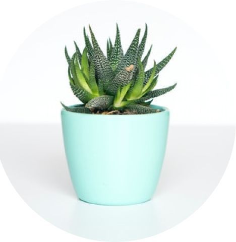 Смотреть объявления